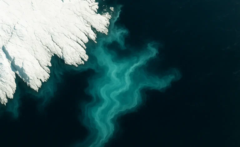 reshwater runoff diluting salt balance in the North Atlantic.